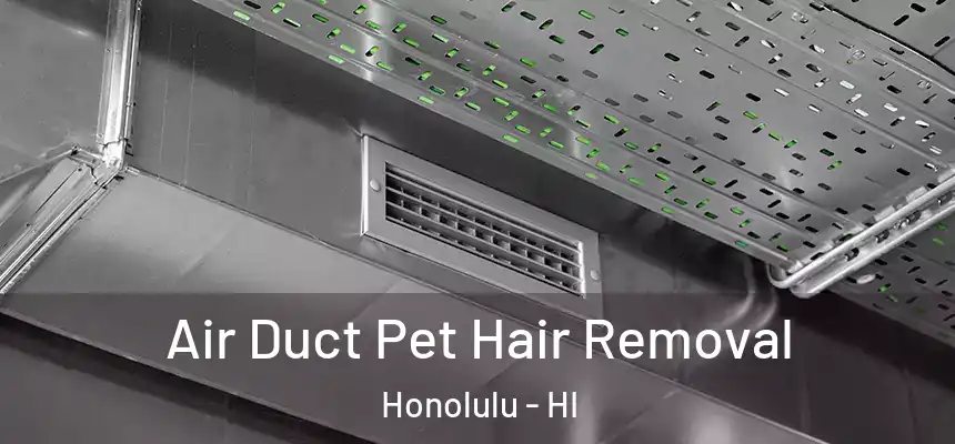 Air Duct Pet Hair Removal Honolulu - HI