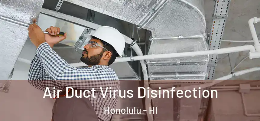  Air Duct Virus Disinfection Honolulu - HI