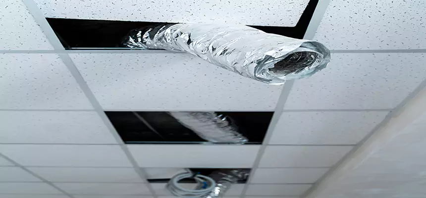 Affordable HVAC Sanitizing After Pest Removal in Honolulu