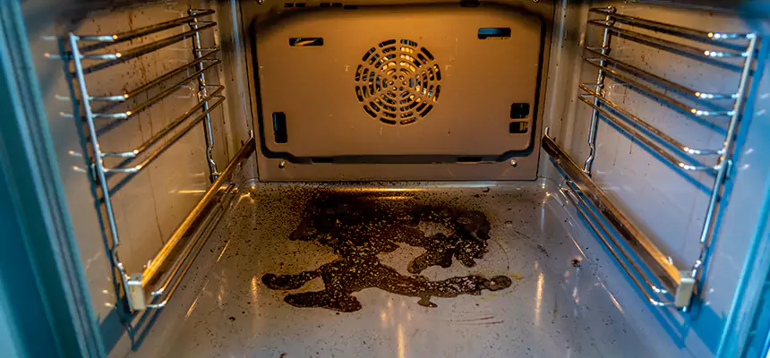 Our Air Purifier Installation Services in Honolulu, HI