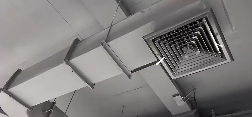 Restorative Allergy Relief Vent Cleaning – Coil, Blower & Housing Detail in Honolulu