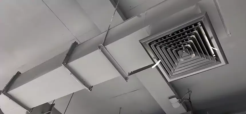 Our Pest Removal From Ducts Services in Honolulu, HI