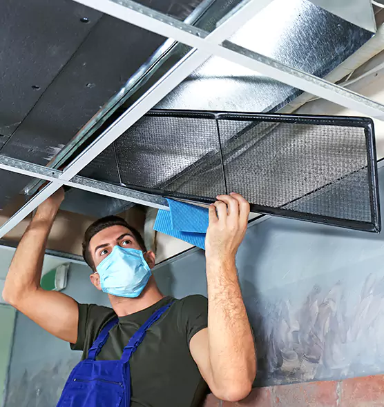 About Air Duct Bacteria Removal in Honolulu