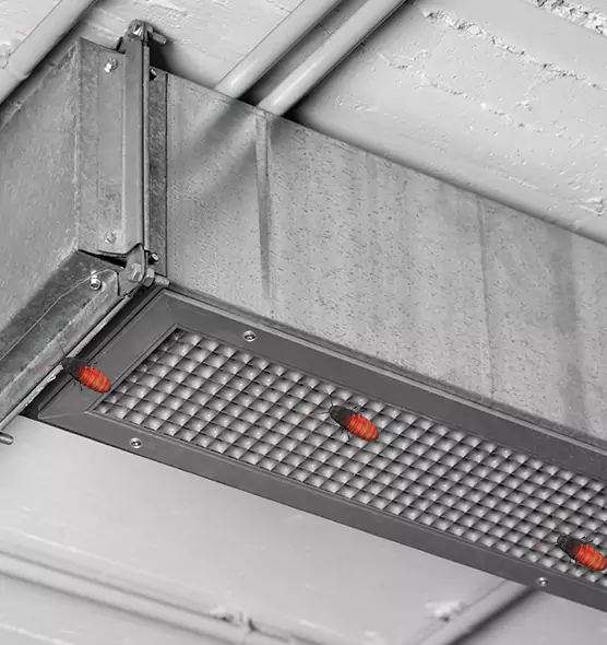 About Air Duct Cockroach Removal in Honolulu, HI