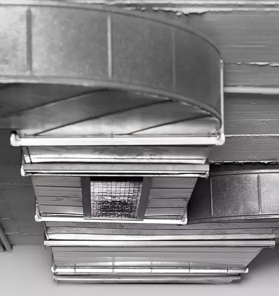 Professional Air Duct Pet Hair Removal in Honolulu, HI