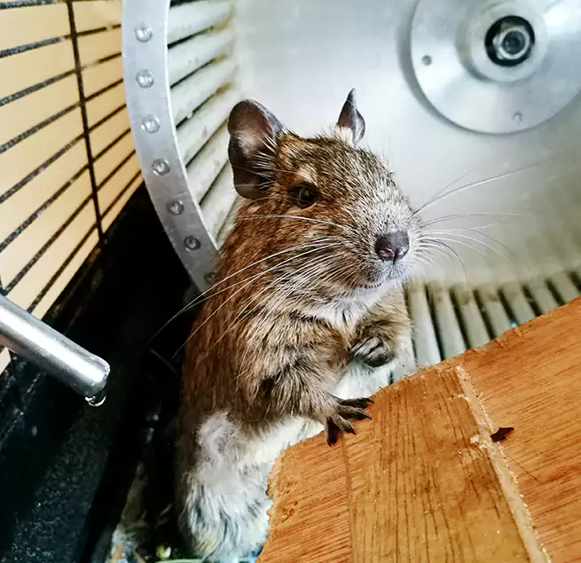 Why Homeowners & Businesses Trust Us Honolulu, HI