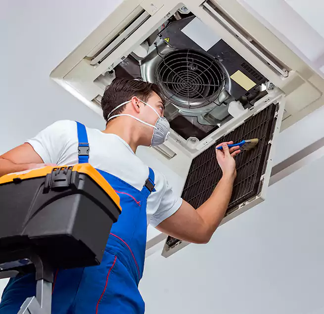 Why Homeowners & Businesses Trust Us in Honolulu, HI