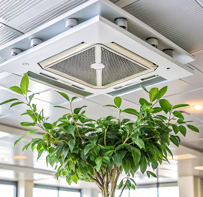 Why Homeowners & Businesses Trust Us in Honolulu, HI?