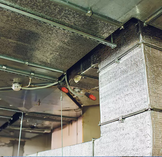 Why Homeowners & Businesses Trust Us Honolulu, HI?