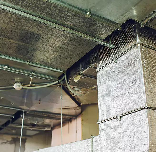 Why Homeowners & Businesses Trust Us in Honolulu, HI?