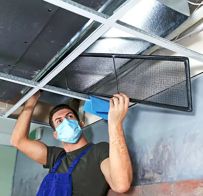 Why Homeowners Businesses Trust Us in Honolulu, HI