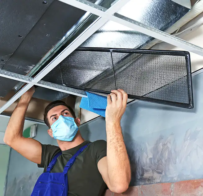 Why Homeowners & Businesses Trust Us in Honolulu, HI?